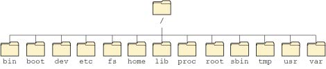 Directories under /